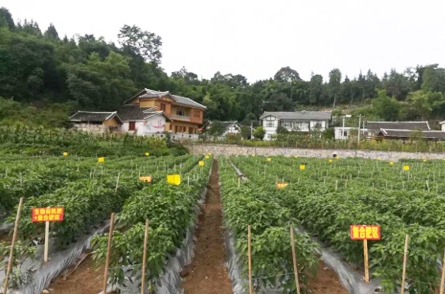 貴陽(yáng)生物有機(jī)肥