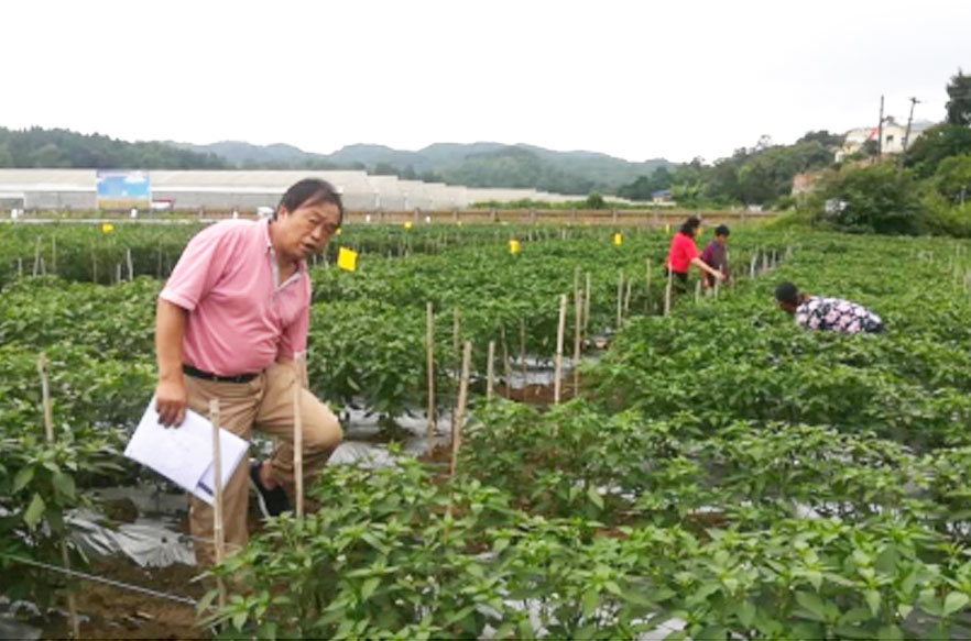 貴陽(yáng)生物有機(jī)肥